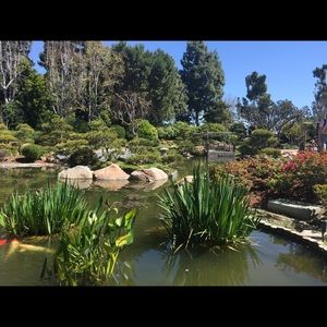 Meet your Posher, Mandy